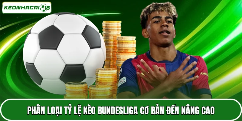 Phân loại tỷ lệ kèo Bundesliga cơ bản đến nâng cao